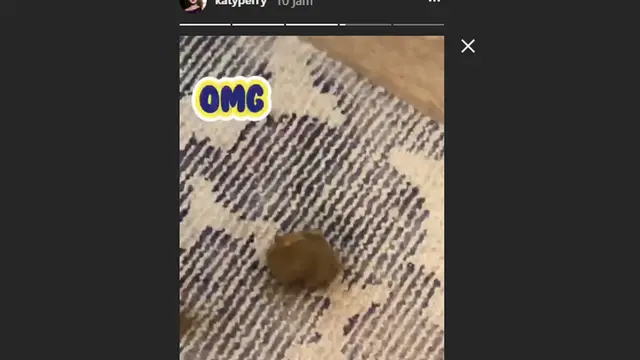Instagram/ katyperry