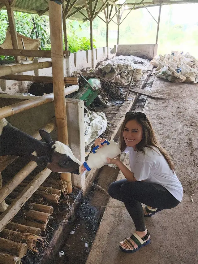 Seru Beri Makan Sapi, Ini 7 Potret Liburan Wulan Guritno Ke Sukabumi