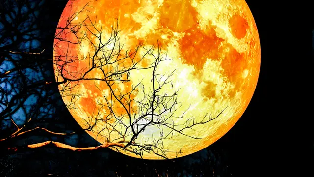 Super Blood Wolf Moon