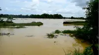 Ratusan Hektare Sawah dan Puluhan Rumah Tergenang Banjir (Liputan6.com/Mohamad Fahrul).