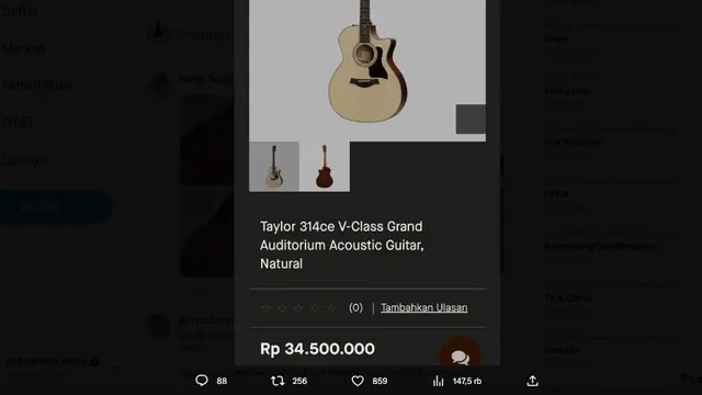 Nyesek, Gitar Seharga Puluhan Juta Rupiah Milik Fanny Soegi Bornean Rusak di Bagasi Sebuah Maskapai Penerbangan. (https://twitter.com/fannysoegi)