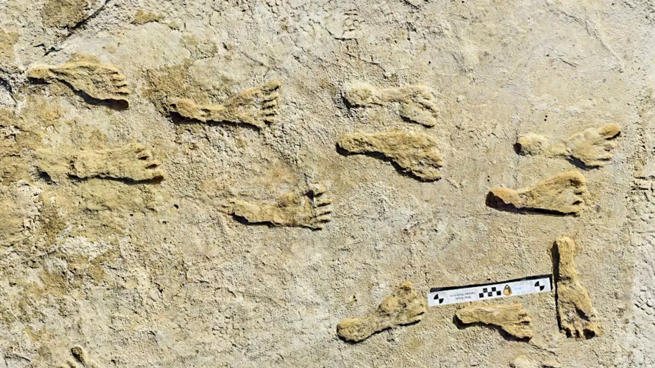 Fosil Kaki Purba