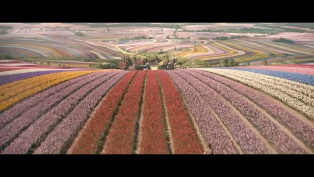 9 Juta Tulip dalam film Wicked. (YouTube/  Wicked Movie)