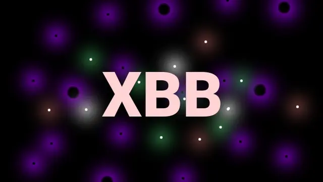 COVID-19 Omicron subvarian XBB