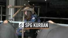 Penjual hewan kurban di Depok Jawa Barat memasarkan sapi dengan cara unik. Sejumlah SPG cewek dengan kostum koboi ikut membantu melayani calon pembeli.