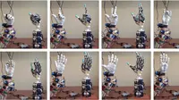 Tangan robotik hasil pengembangan Zhe Xu dan Emanuel Todorov (sumber: engadget.com)