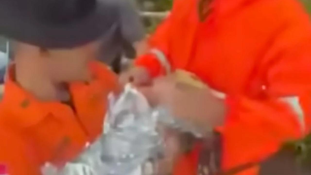 Bayi Hipotermia di Gunung Ungaran