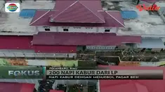 Dua Ratus Napi Lapas Pekanbaru Kabur