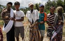 Menengok seramnya ritual tiga tahunan masyarakat Tana Toraja