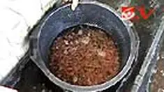 liputan6