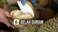 Agar tak menimbulkan resiko luka, berikut tips membuka durian sendiri.