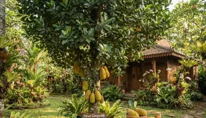 10 Cara Mengatasi Nangka yang Cepat Besar tetapi Lambat Berbuah, Ini Perawatannya