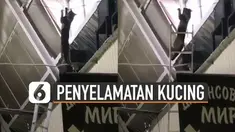 Beredar video aksi penyelamatan kucing yang bergelantungan di langit-langit. Akhirnya usaha itu berhasil dan kucing itu bisa diturunkan menggunakan tangga.
