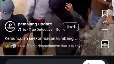 Bikin Warga Geger, Macan Kumbang Masuk Rumah Mangsa Ayam dan Marmut