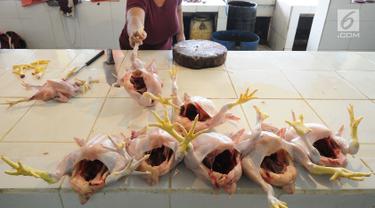 Pedagang menunjukkan ayam di pasar induk Kramat Jati, Jakarta, Jumat (26/4). Kementerian Perdagangan siap menjaga harga dan ketersediaan barang kebutuhan pokok menjelang Puasa dan Lebaran 2019. (Liputan6.com/Herman Zakharia)