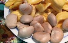 Manfaat Biji Nangka untuk Kesehatan, Menurunkan Kolesterol Jahat Secara Alami