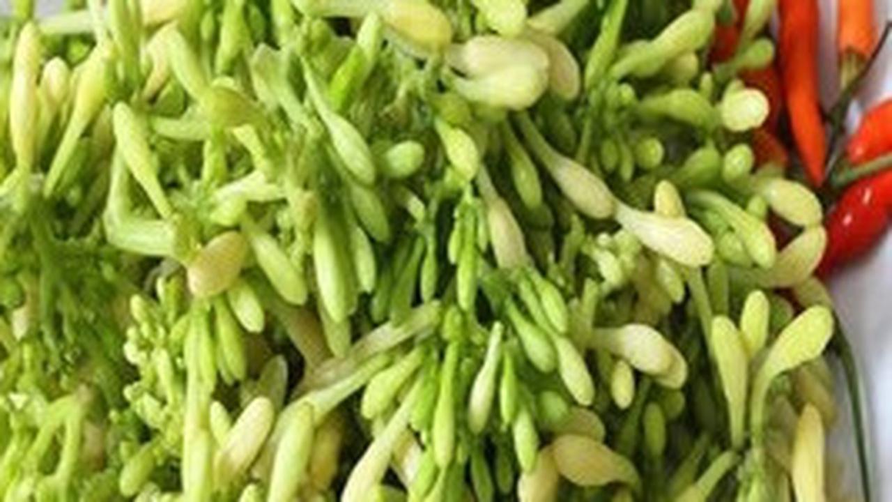 Manfaat Bunga Pepaya untuk Kesehatan yang Perlu Anda Tahu, Yuk Simak!