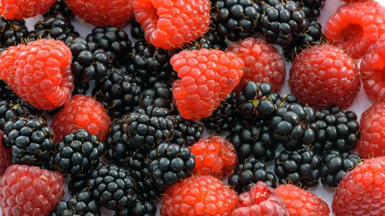 Buah Beri