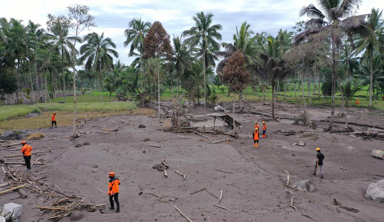 Foto udara Tim SAR (oranye dan hijau) melakukan operasi pencarian orang hilang menyusul erupsi Gunung Semeru di desa Sumberwuluh, Lumajang, Jawa Timur, Senin (6/12/2021). Berdasarkan laporan BNPB, jumlah korban meninggal sampai Minggu sore berjumlah 14 orang. (ADEK BERRY/AFP)