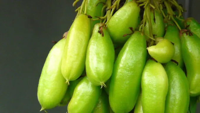 Foto Copyright thinkstockphotos.com