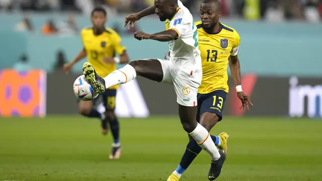 Ekuador vs Senegal