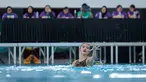 Atlet renang indah DKI Jakarta, Hilda Tri Julyandra saat tampil dalam nomor open women solo free final renang artistik Kejurnas Akuatik 2026 di Stadion Akuatik Gelora Bung Karno, Senayan, Jakarta, Selasa (05/05/2026). (Bola.com/Bagaskara Lazuardi)