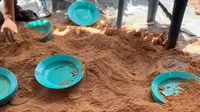 Piring kotor pesta pernikahan dicuci pakai pasir. (dok. tangkapan video TikTok @hanifwafi_/https://www.tiktok.com/@hanifwafi_/video/7228121484818959622)