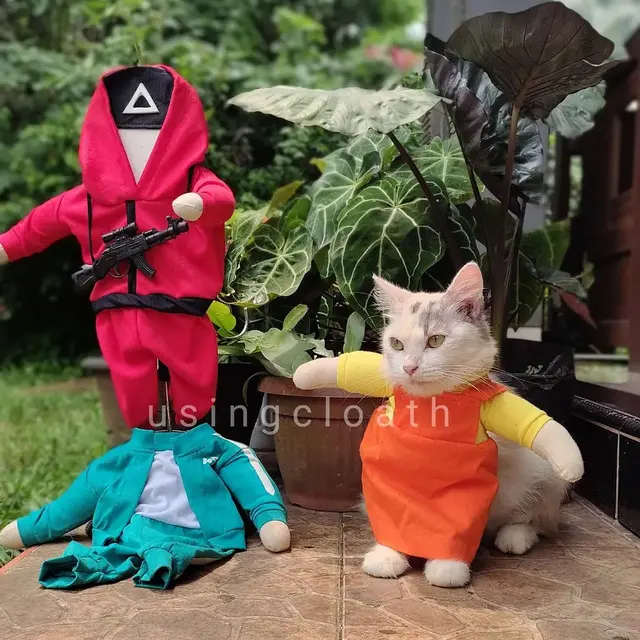 Kisah Mantan Guru SD Sukses Banting Setir Jadi Desainer Baju Kucing