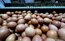 PIHPS Rilis Data Terkini: Harga Pangan Nasional, Telur Ayam Capai Rp30.100/Kg dan Bawang Merah Rp55.450/Kg