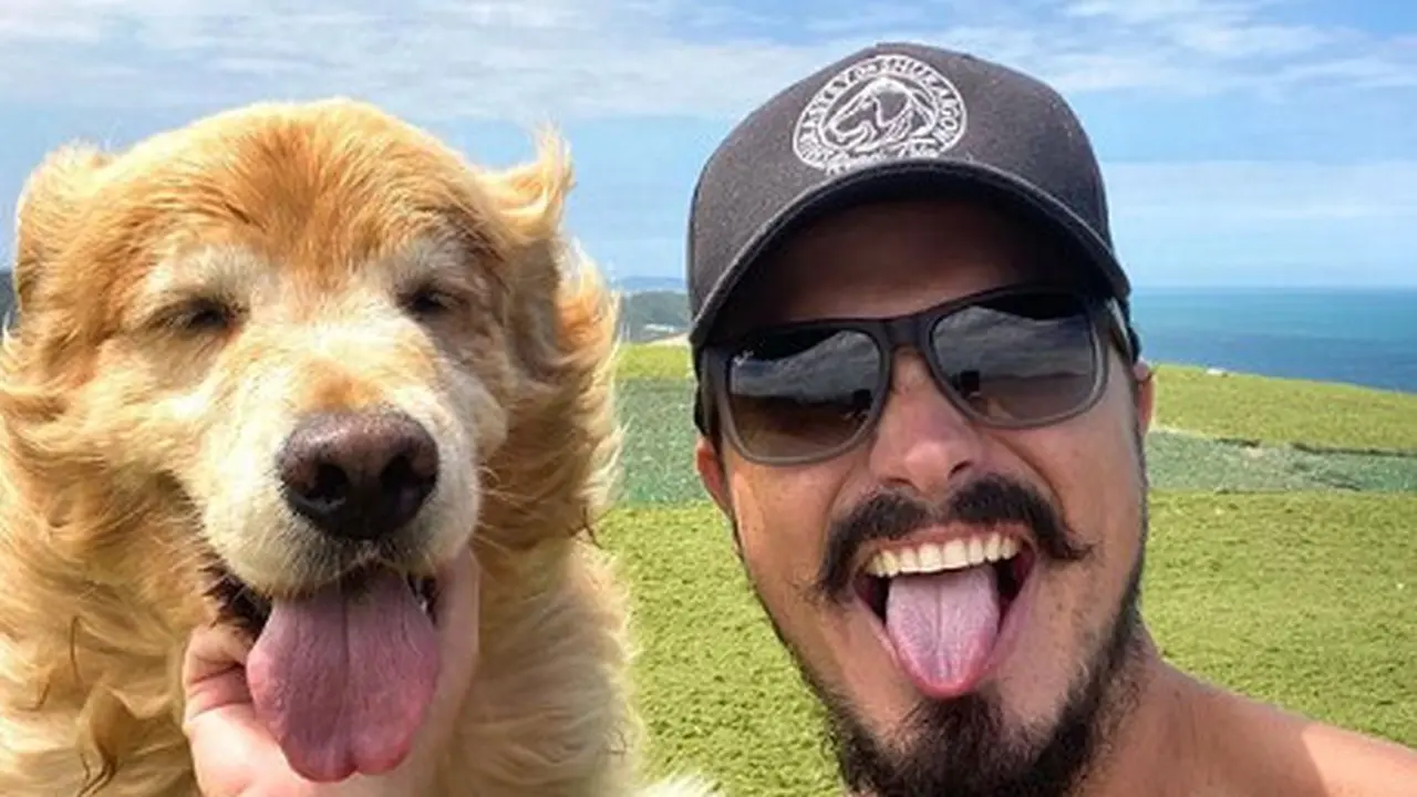 Pilu, Influencer dan Anjingnya Tewas dalam Kecelakaan Mobil Sebelum Perjalanan Impian Mereka Terwujud