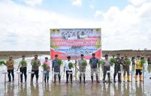 Fakta Unik: Gerakan Percepatan Tanam Padi di Kapuas, Kalteng, Mampu Panen 5 Kali dalam 2 Tahun!
