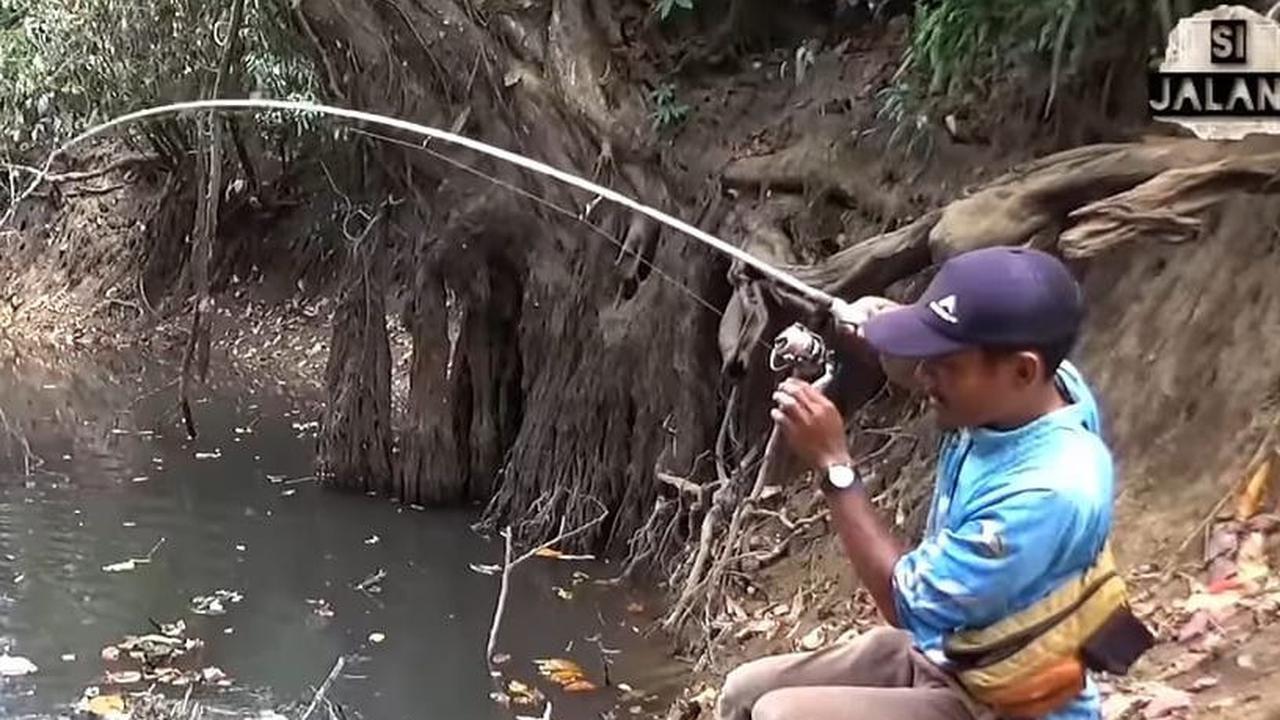 Seorang pria dililit ular piton sepanjang 4 meter saat tengah asik memancing di tengah-tengah hutan Kalimantan Selatan. Momen menegangkan itu pertama kali diunggah oleh akun YouTube Si Jalang, pada Rabu (30/8).&nbsp;