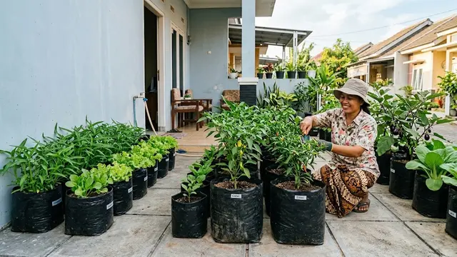 Ide Kebun Sayur untuk Rumah Kontrakan yang Tidak Boleh Dibongkar (AI Generated)