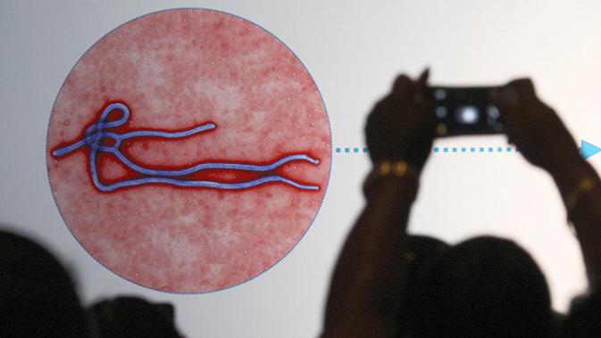 Seorang peserta melihat layar proyeksi yang memperlihatkan rupa virus Ebola saat sesi presentasi yang dilakukan Pusat Pengendalian dan Pencegahan Penyakit di Los Angeles, California, 7 November 2014. (David McNew/Getty Images/AFP)