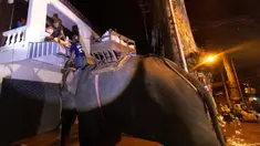 Seekor gajah menyeberangi banjir untuk membantu membawa pasokan bantuan kepada penduduk desa di Provinsi Chiang Mai, Thailand, Minggu, 6 Oktober 2024. (AP Photo/Wason Wanichakorn)