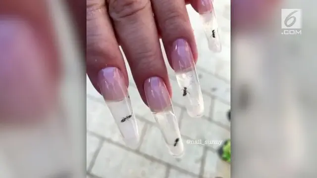 Sebuah salon nail art di Rusia membuat kreasi kuku panjang dengan semut hidup di dalam nya.