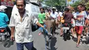 Warga membawa sapi kurban pemberian Polda Metro Jaya, Jakarta, Rabu (23/9/2015). Sapi kurban tersebut untuk warga Kampung Rawa dan warga Tanah Tinggi 12 (Liputan6.com/Gempur M Surya)