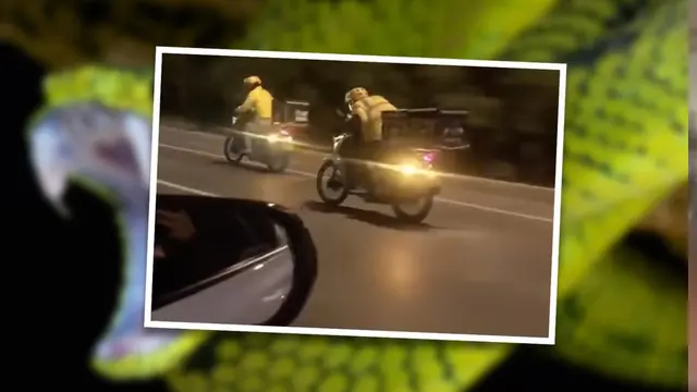 Perjuangan Antar Penangkal Racun Ular
