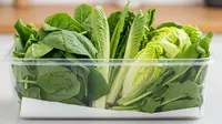 7 Cara Menyimpan Sayur Tanpa Kulkas agar Tidak Membusuk