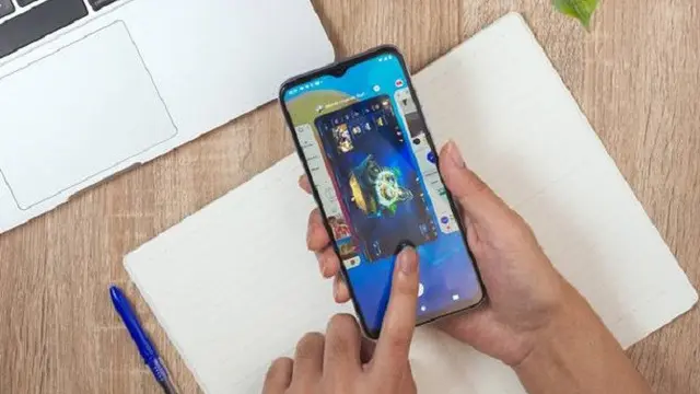 Vivo