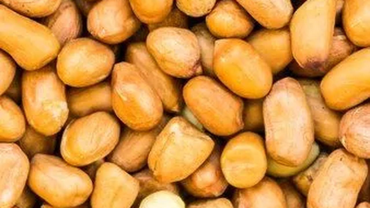 Biji-bijian