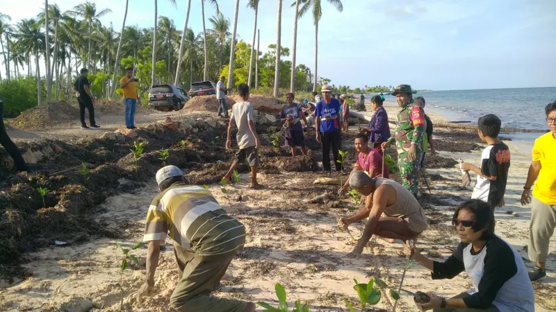 Berkonsep Pentahelix, KKP Tanam Mangrove di NTT