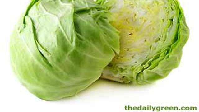 Obati Maag Dengan Sayur Kol Health Liputan6 Com