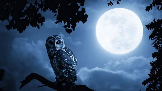 foto: copyright thinkstockphotos.com