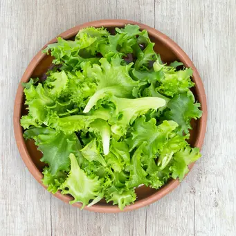 ilustrasi manfaat selada/Petr Magera/unsplash