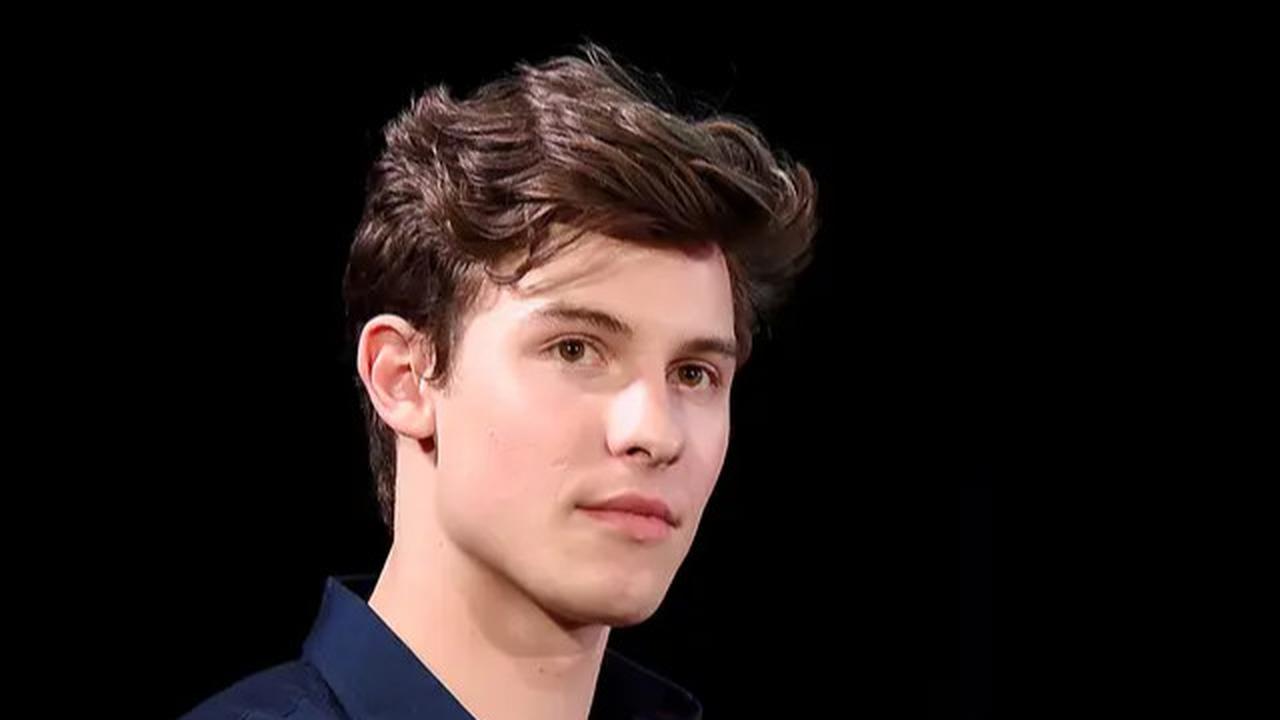 shawn mendes