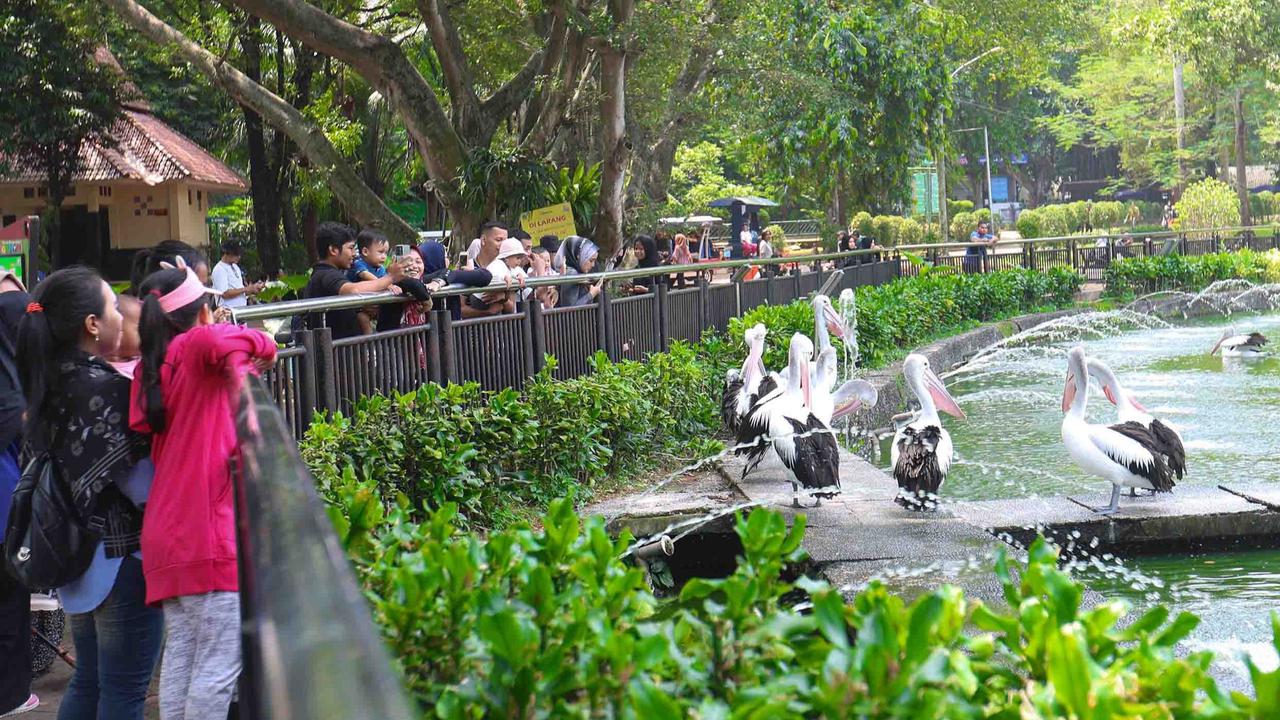 FOTO: Peringatan Maulid Nabi, Ragunan Diserbu Pengunjung