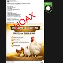 Cek Fakta: Hoaks Link Pendaftaran Bantuan Bibit Ayam untuk 5.000 Peserta