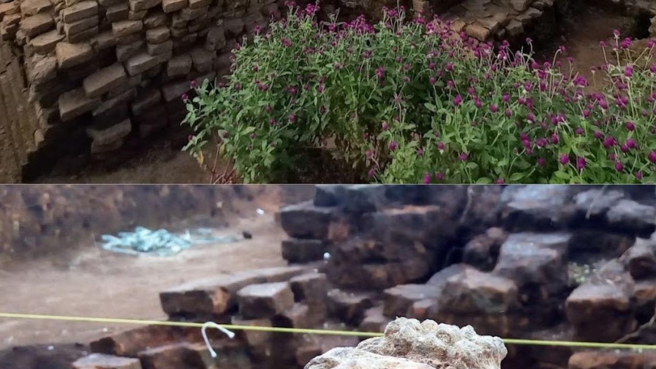 Lebih Tua dari Kerajaan Majapahit, Begini Potret Candi Pandegong di Tengah Sawah Jombang