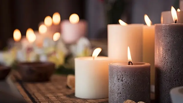 Cara Mengusir Lalat Secara Alami